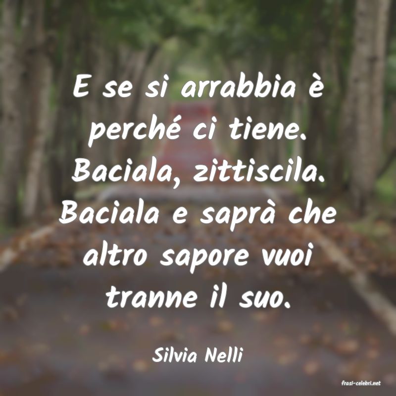 frasi di Silvia Nelli