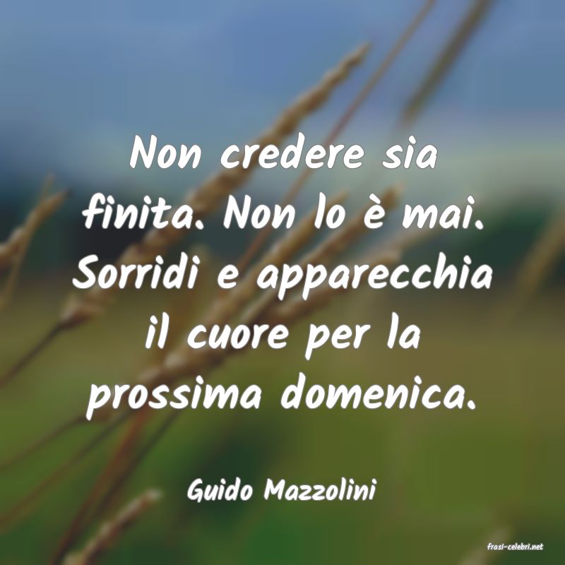 frasi di  Guido Mazzolini
