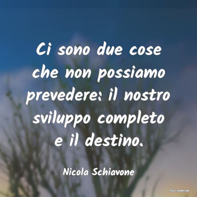 frasi di  Nicola Schiavone
