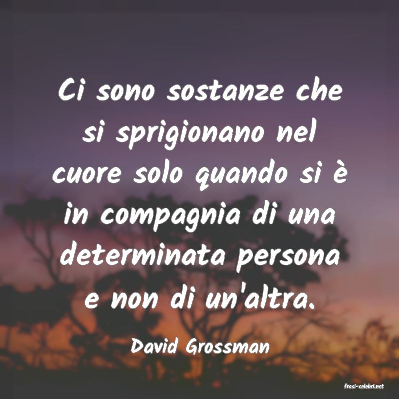 frasi di  David Grossman
