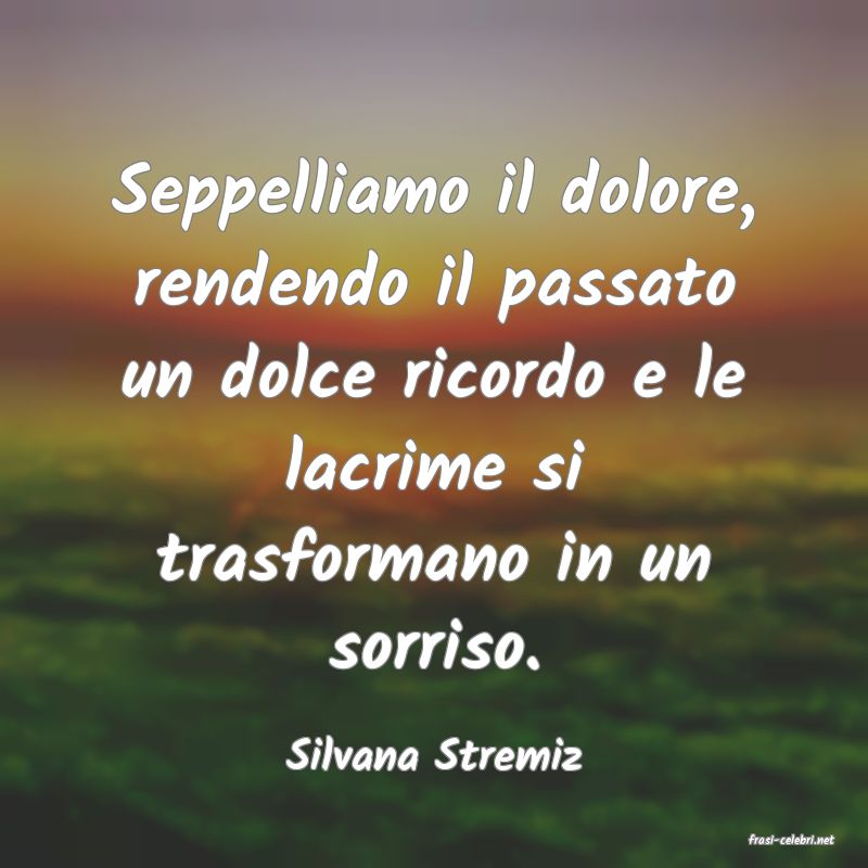 frasi di  Silvana Stremiz
