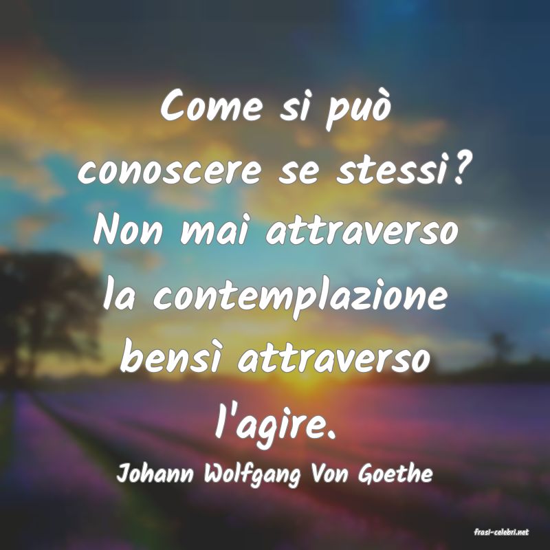 frasi di  Johann Wolfgang Von Goethe
