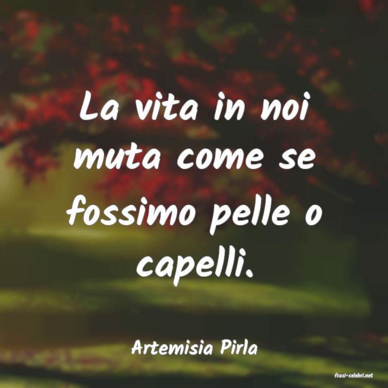 frasi di Artemisia Pirla