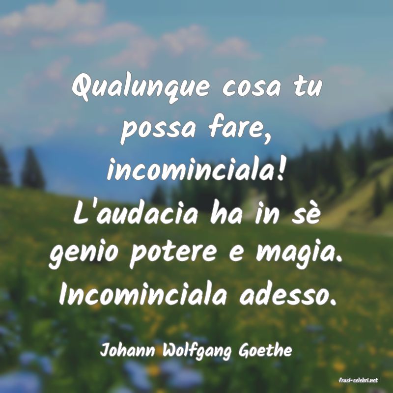 frasi di Johann Wolfgang Goethe