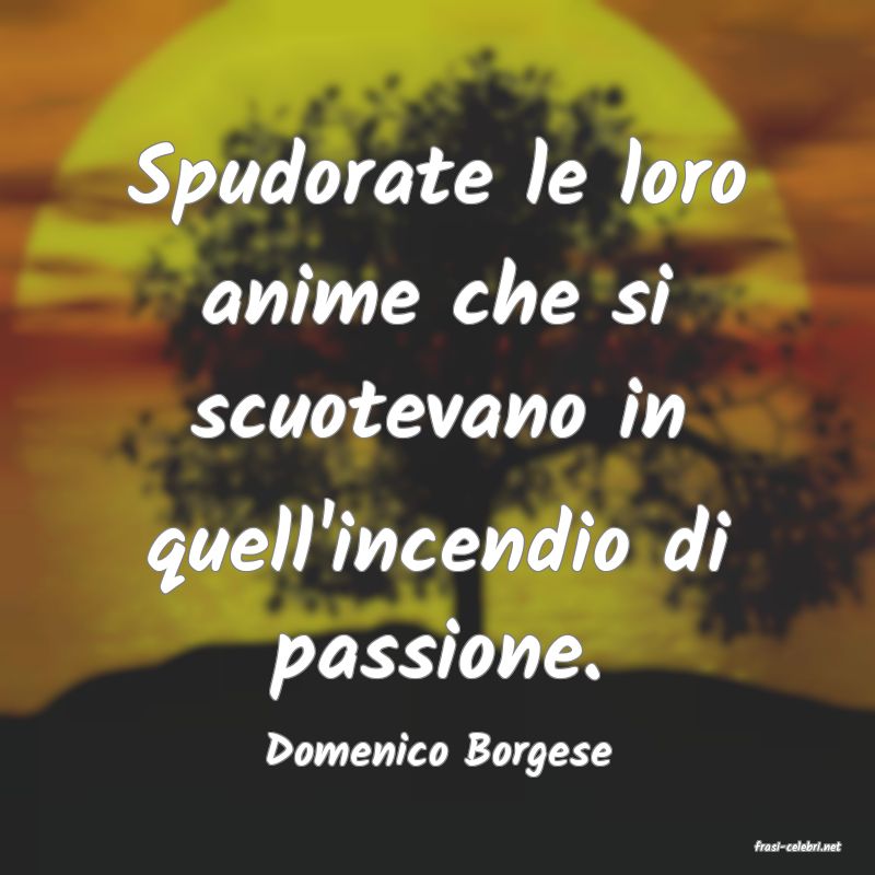 frasi di  Domenico Borgese
