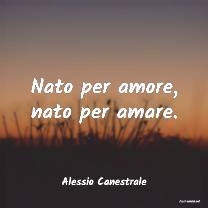 frasi di  Alessio Canestrale
