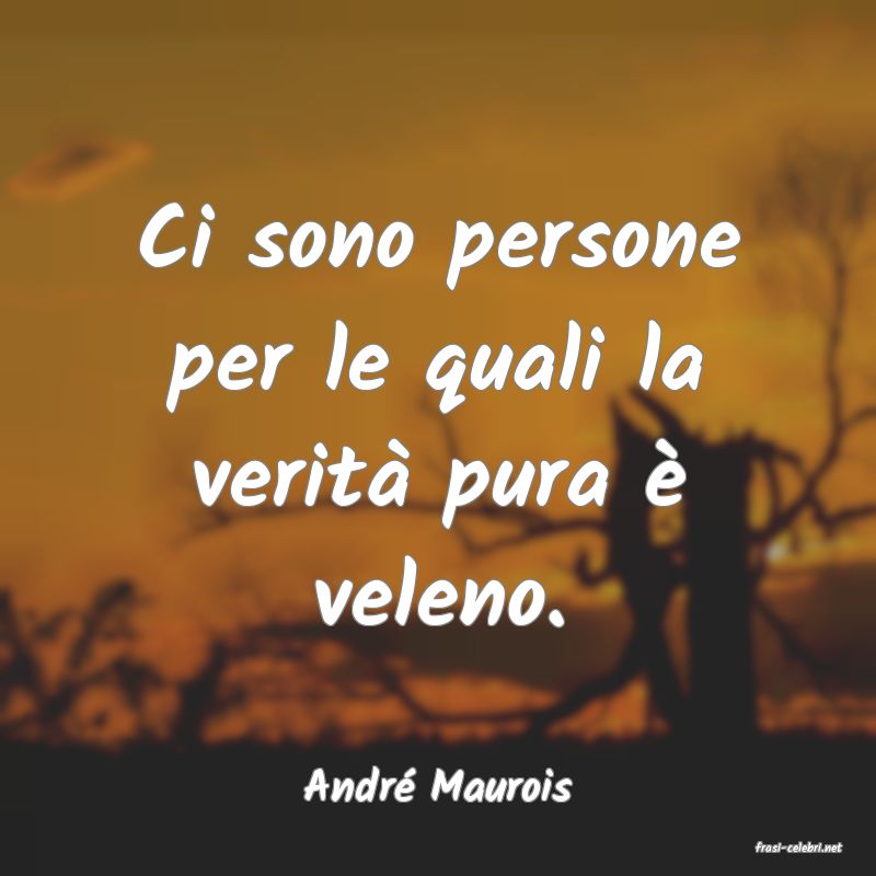 frasi di Andr Maurois