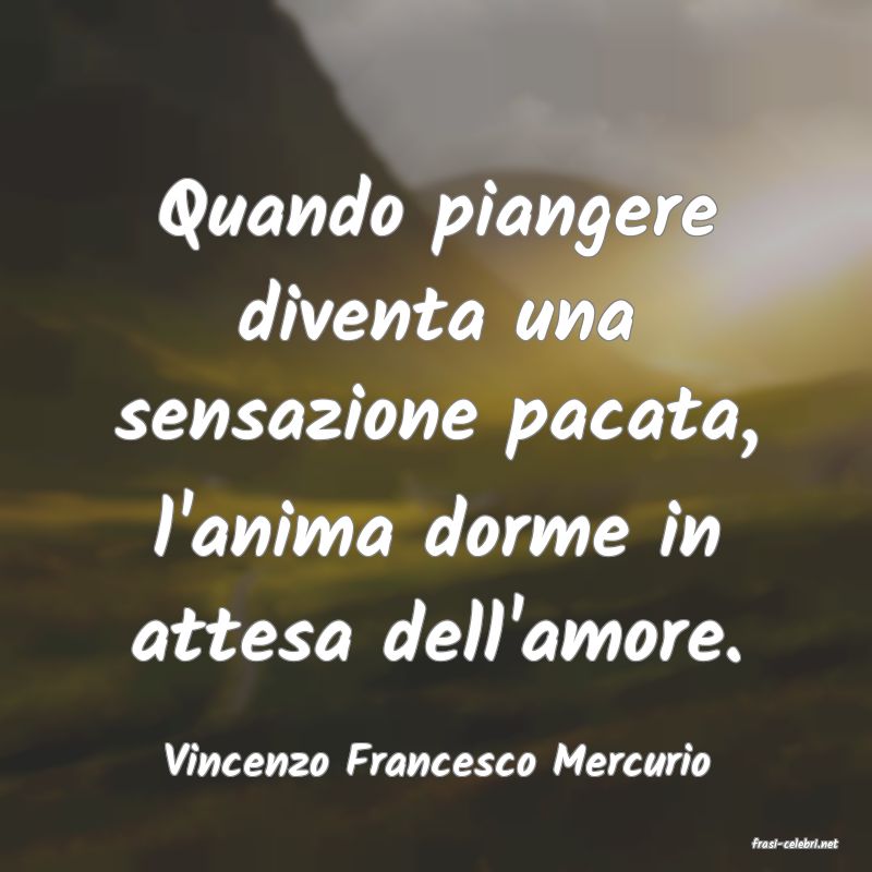 frasi di  Vincenzo Francesco Mercurio
