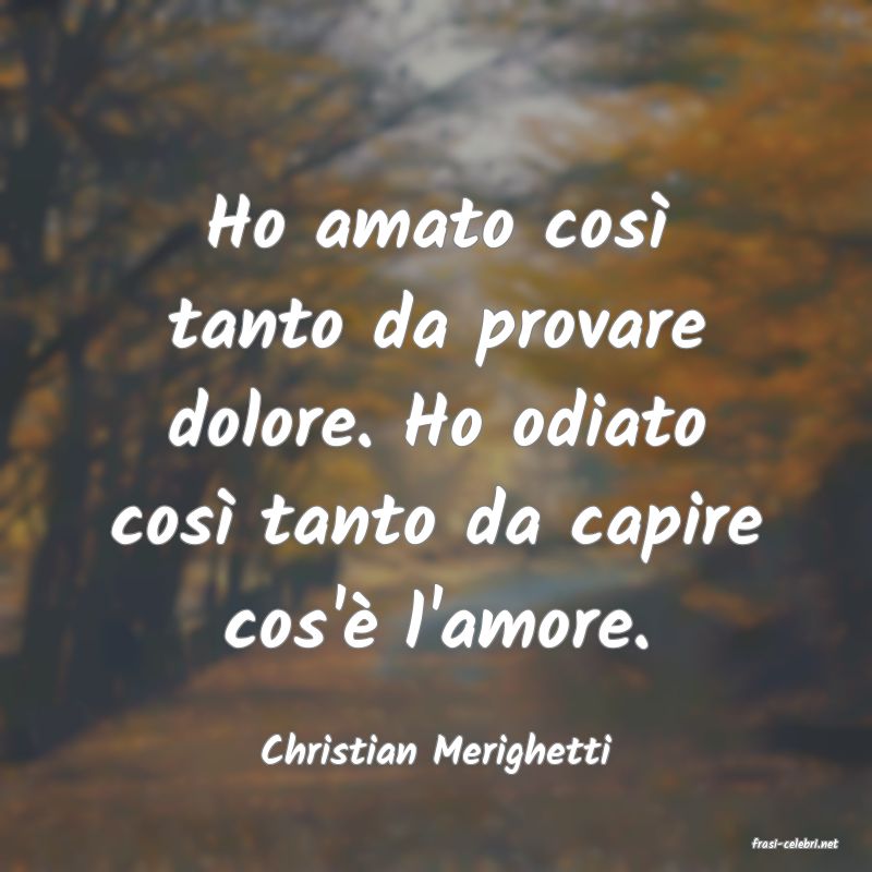 frasi di  Christian Merighetti

