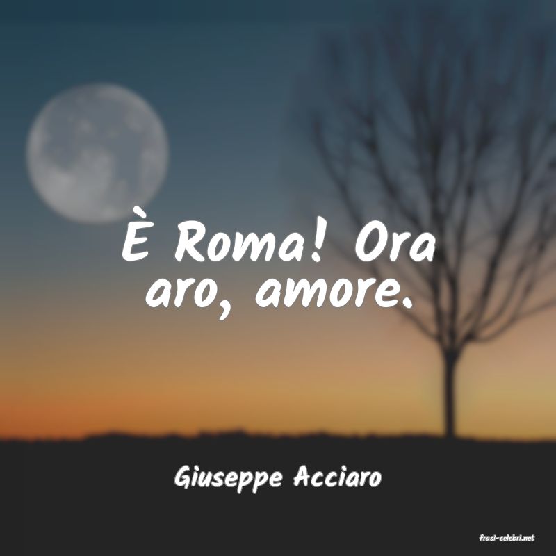 frasi di  Giuseppe Acciaro
