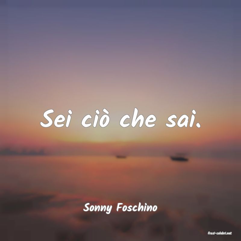 frasi di  Sonny Foschino
