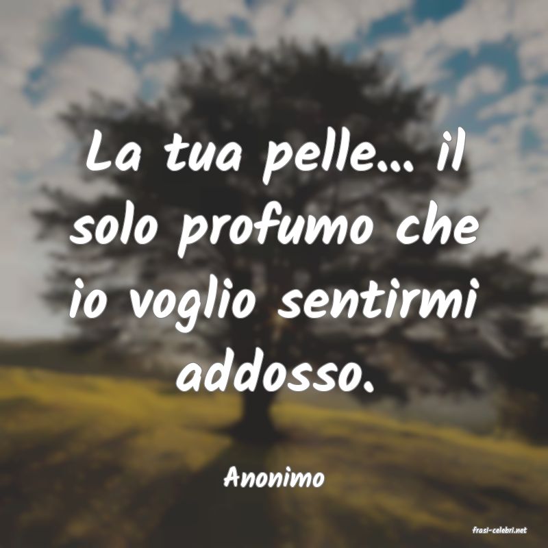 frasi di  Anonimo
