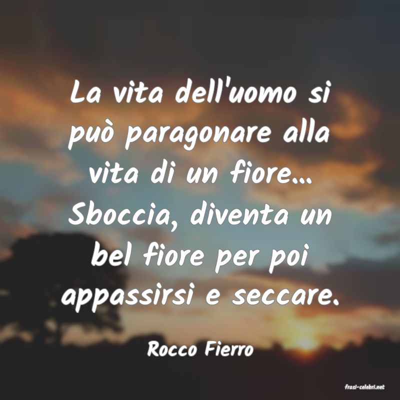 frasi di  Rocco Fierro
