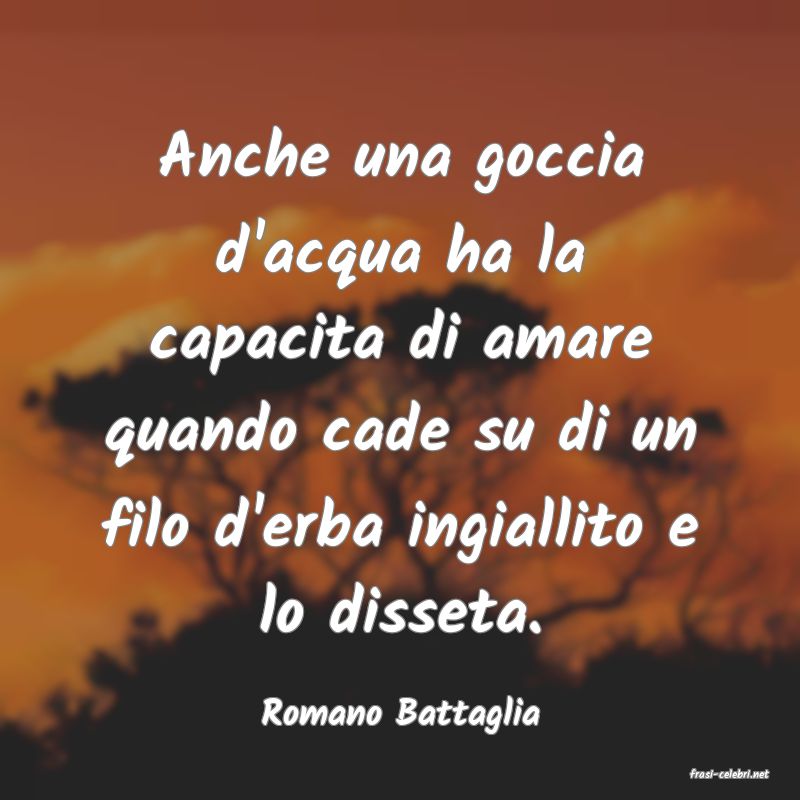 frasi di Romano Battaglia