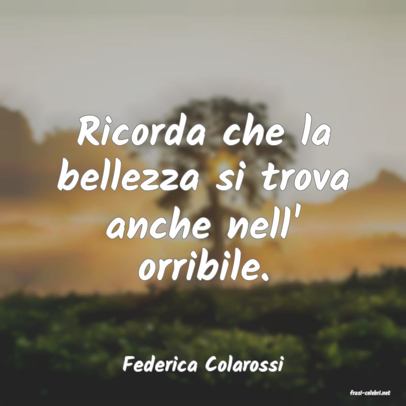 frasi di Federica Colarossi