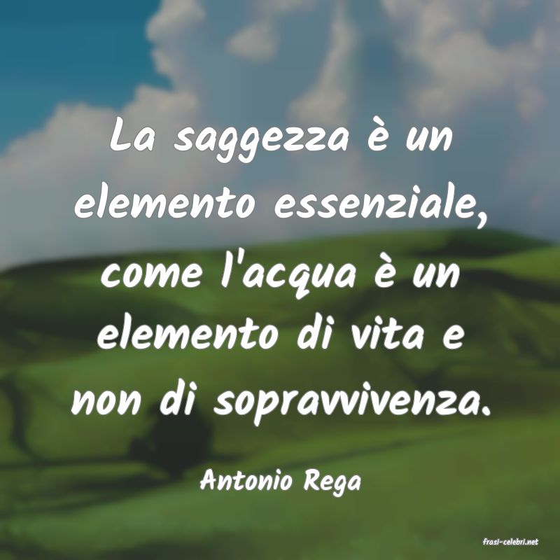frasi di  Antonio Rega
