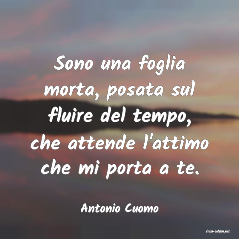 frasi di  Antonio Cuomo
