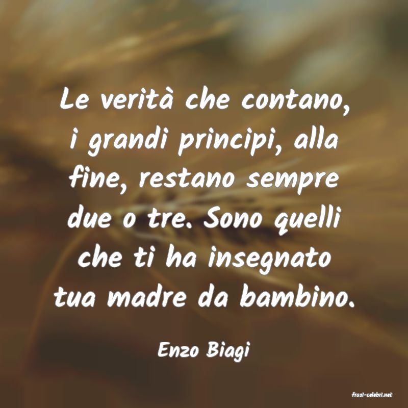frasi di  Enzo Biagi
