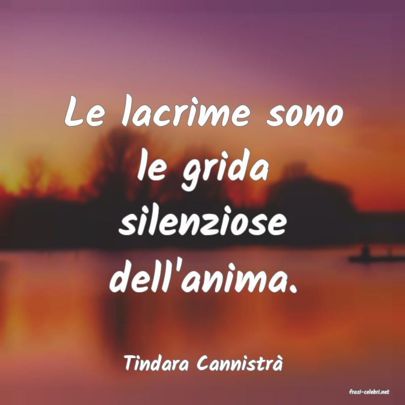 frasi di Tindara Cannistr�