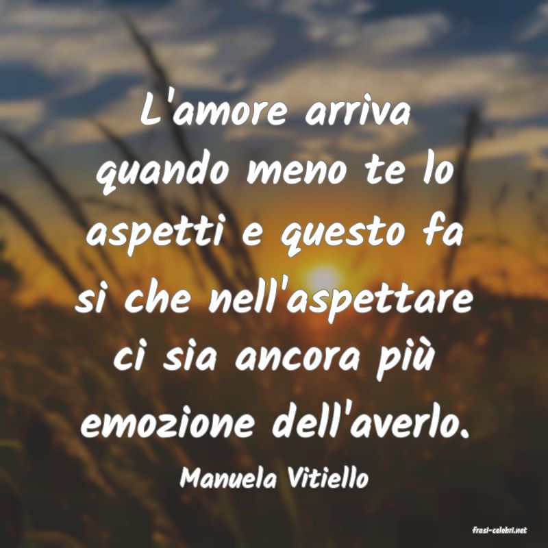 frasi di  Manuela Vitiello
