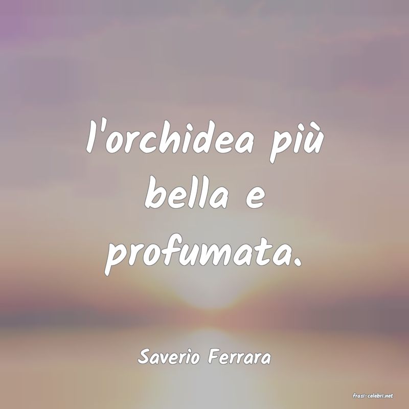 frasi di  Saverio Ferrara
