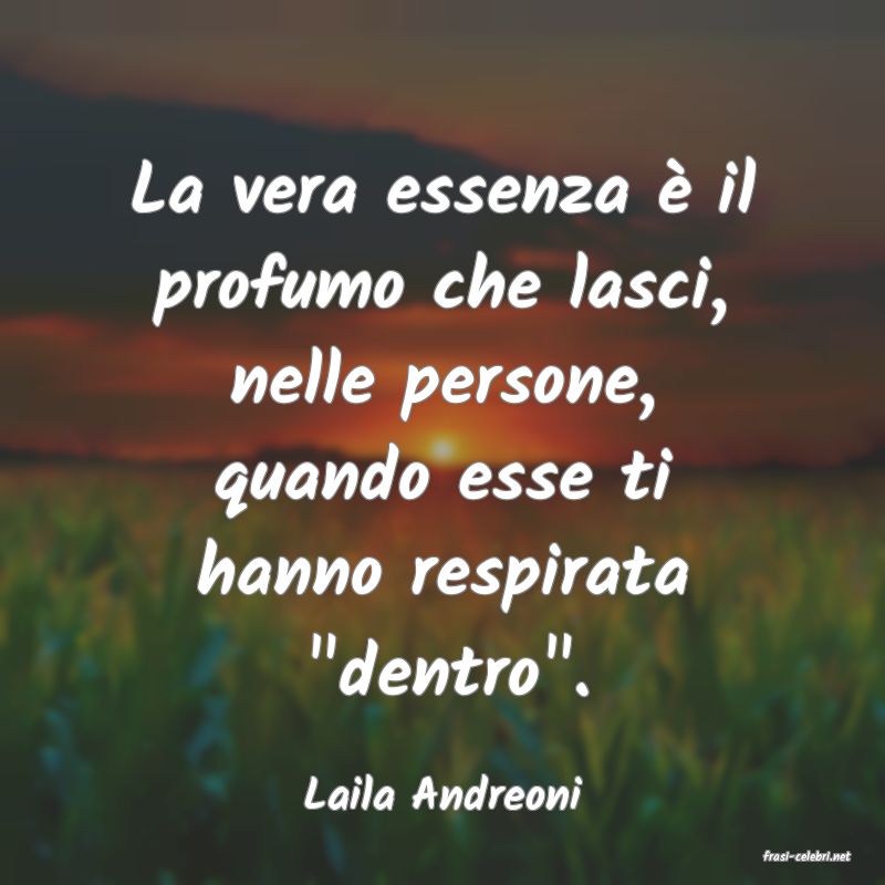 frasi di Laila Andreoni