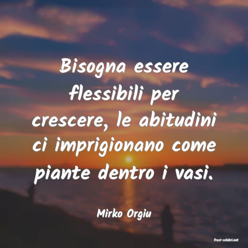 frasi di  Mirko Orgiu
