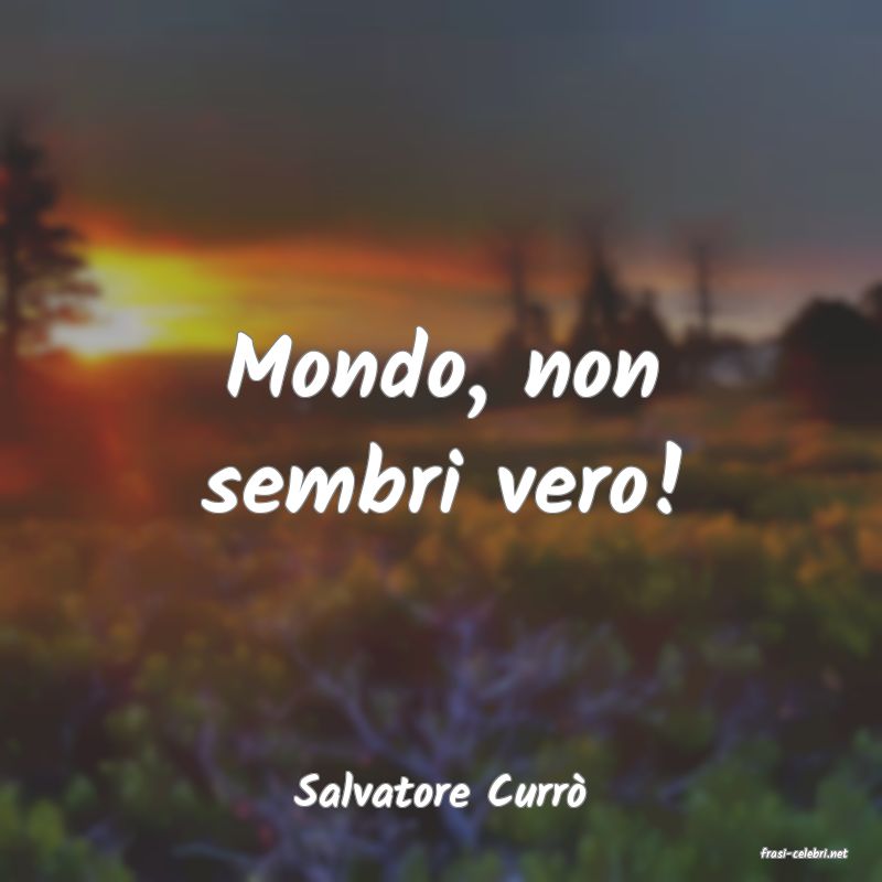 frasi di Salvatore Curr�