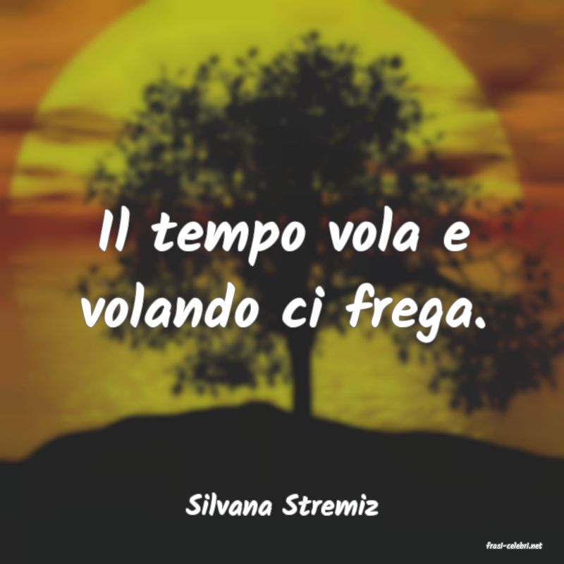 frasi di Silvana Stremiz