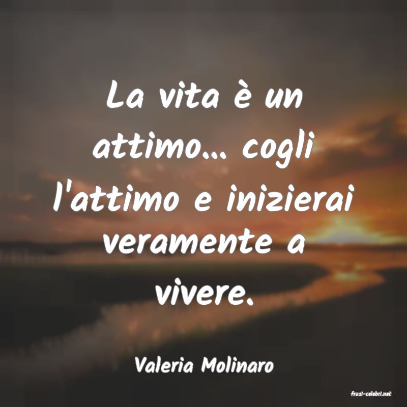 frasi di Valeria Molinaro