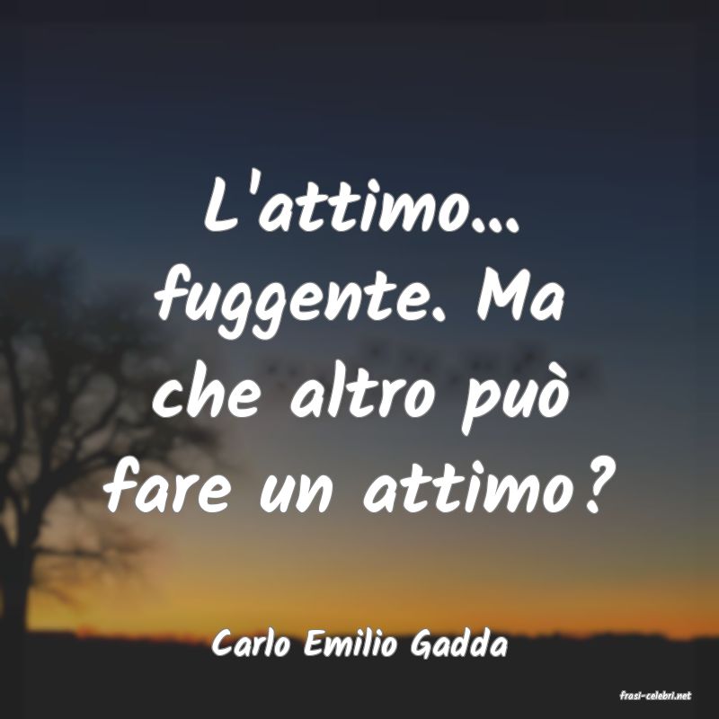 frasi di Carlo Emilio Gadda