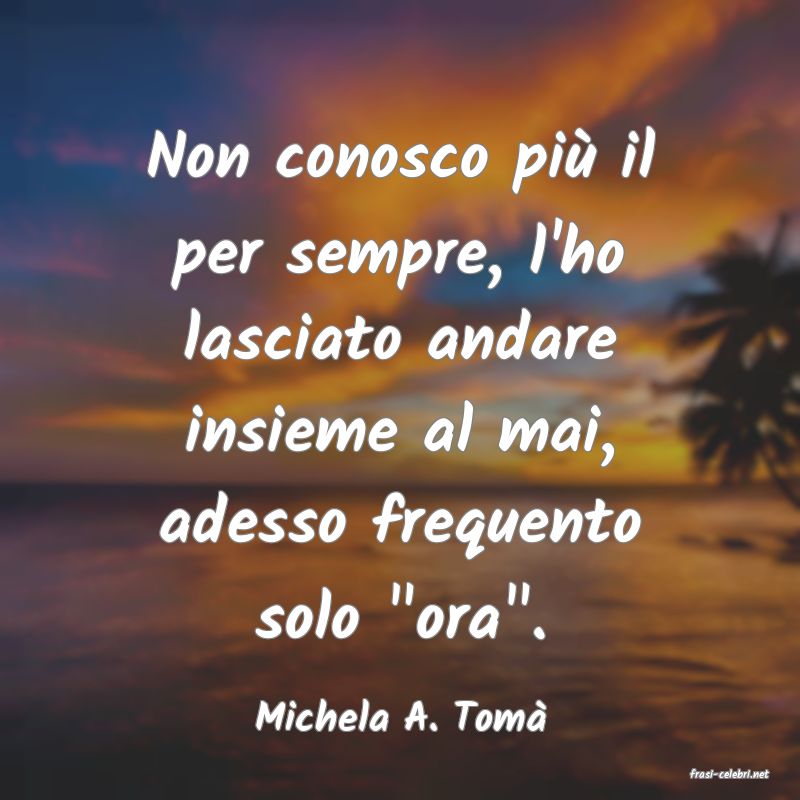 frasi di Michela A. Tom