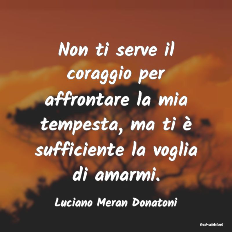 frasi di  Luciano Meran Donatoni
