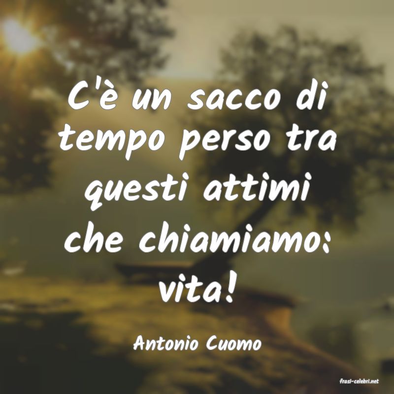 frasi di  Antonio Cuomo
