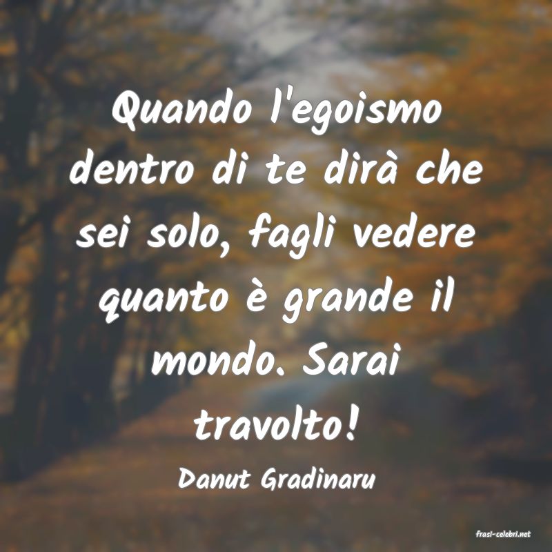 frasi di  Danut Gradinaru
