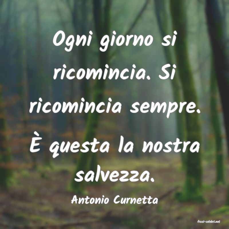 frasi di  Antonio Curnetta
