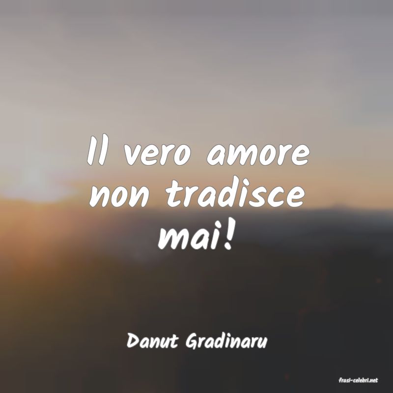 frasi di  Danut Gradinaru
