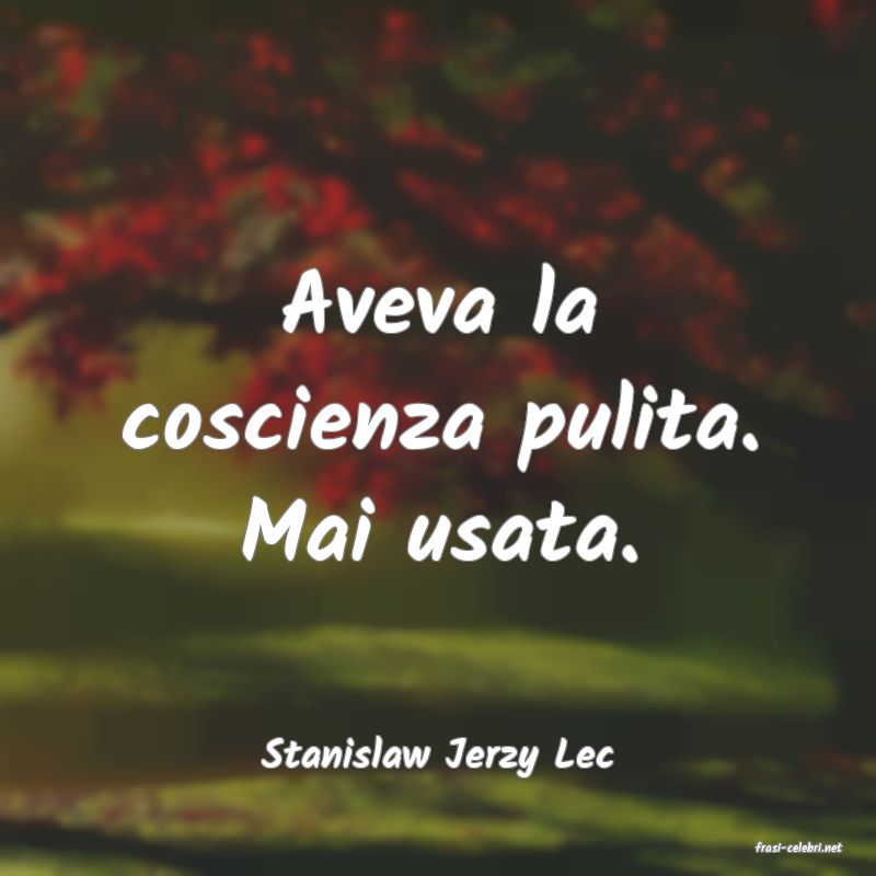 frasi di  Stanislaw Jerzy Lec
