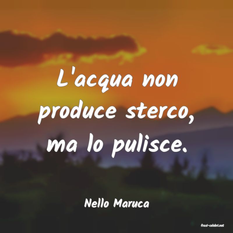 frasi di  Nello Maruca
