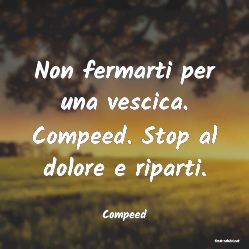 frasi di  Compeed
