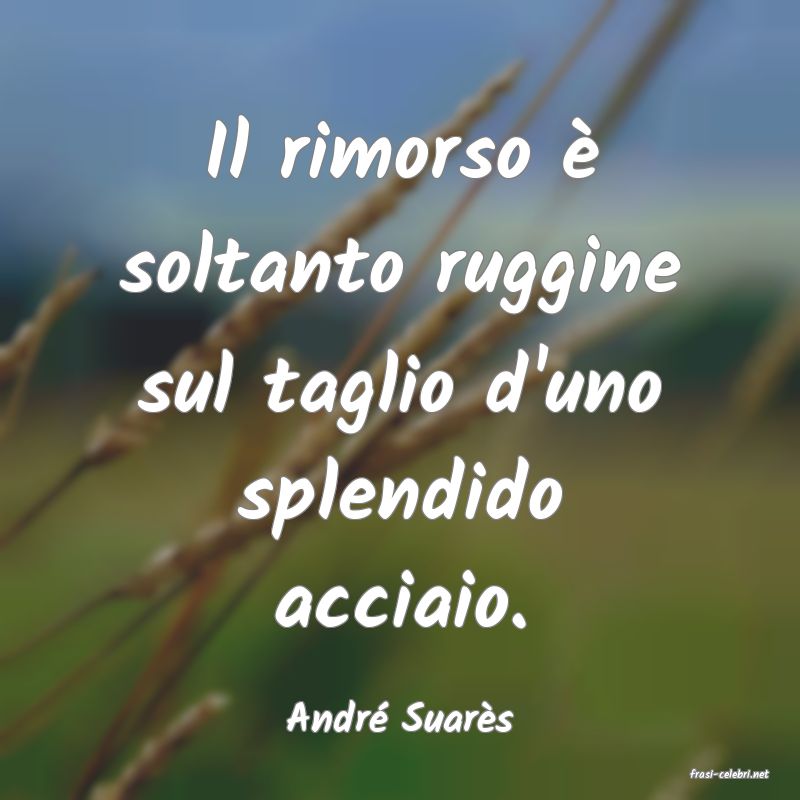 frasi di Andr Suars