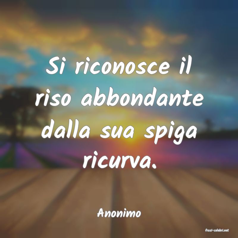 frasi di Anonimo