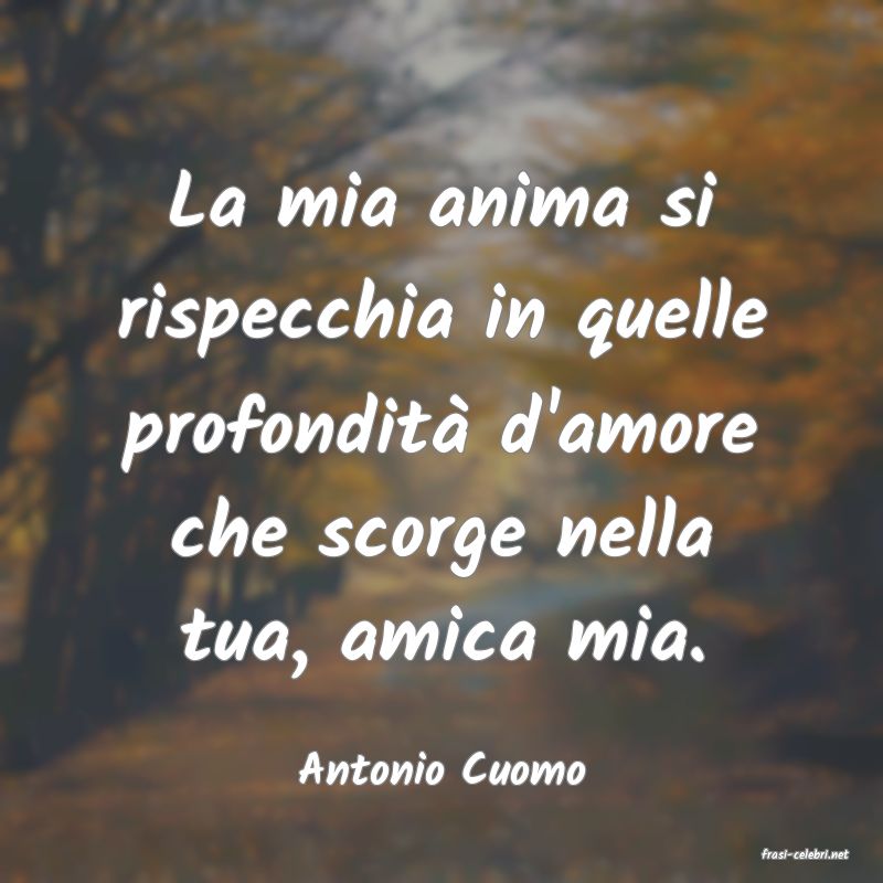 frasi di  Antonio Cuomo

