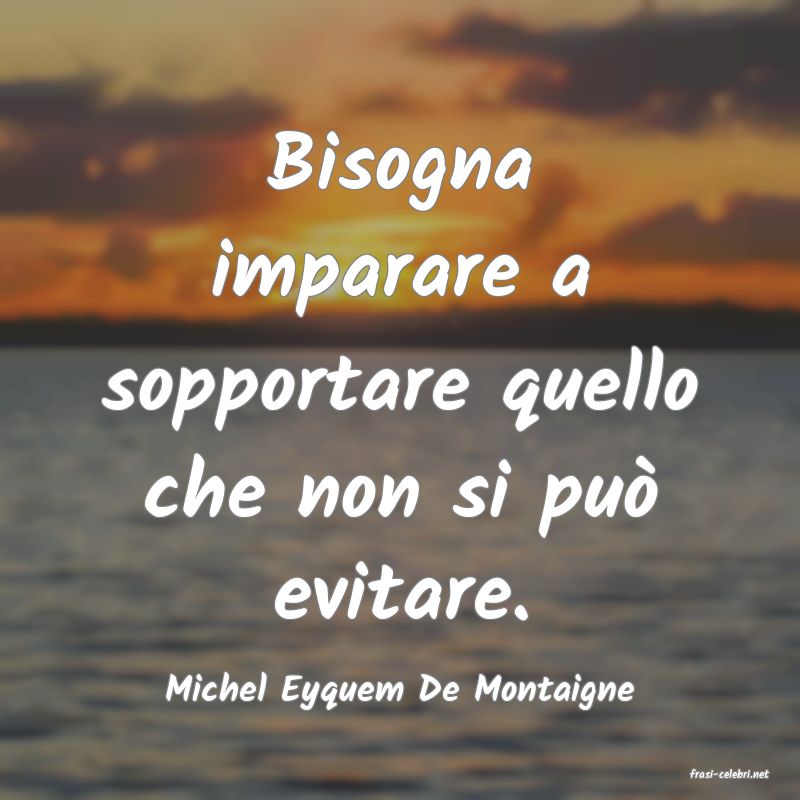 frasi di  Michel Eyquem De Montaigne
