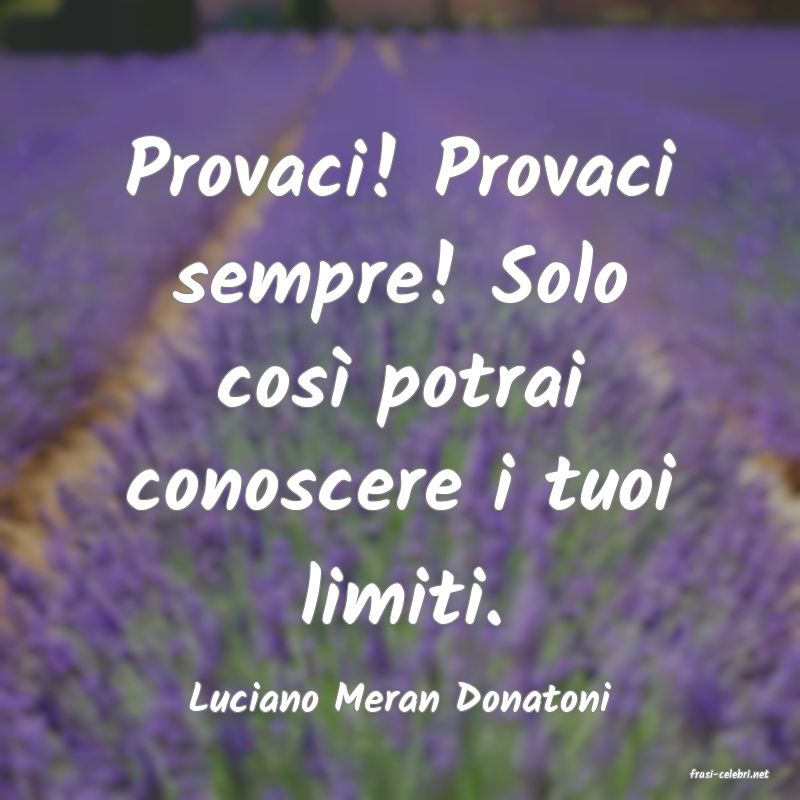 frasi di  Luciano Meran Donatoni
