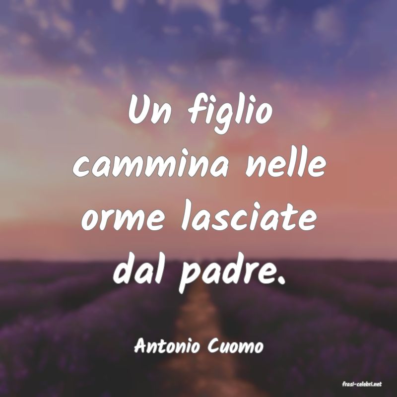 frasi di  Antonio Cuomo

