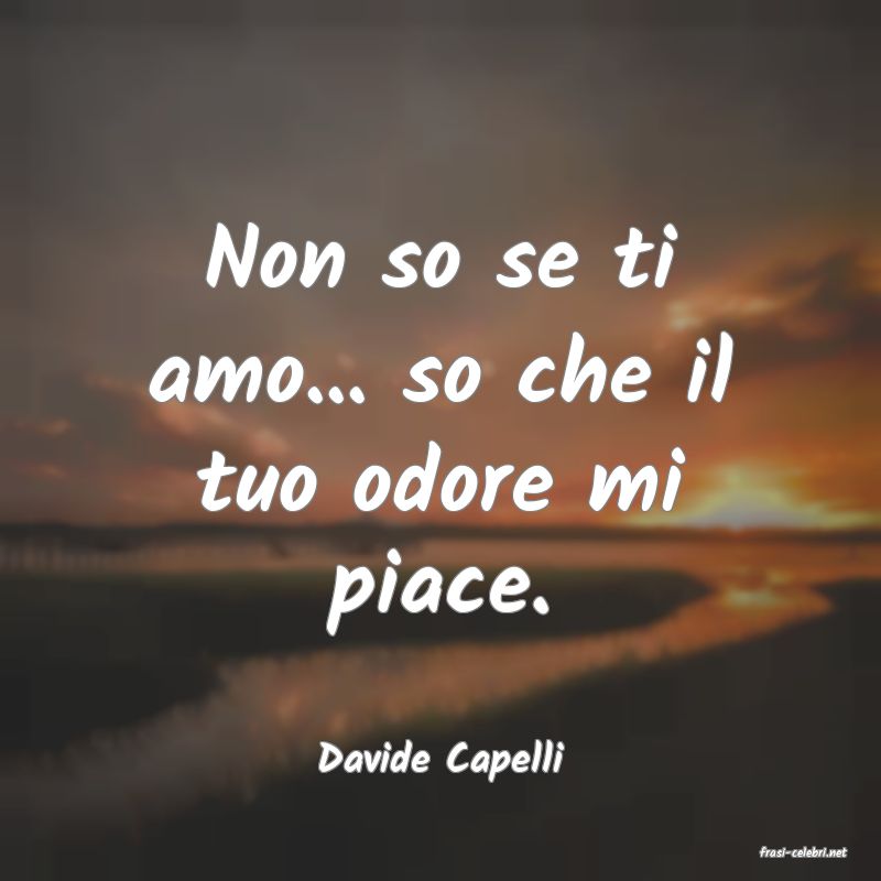 frasi di  Davide Capelli
