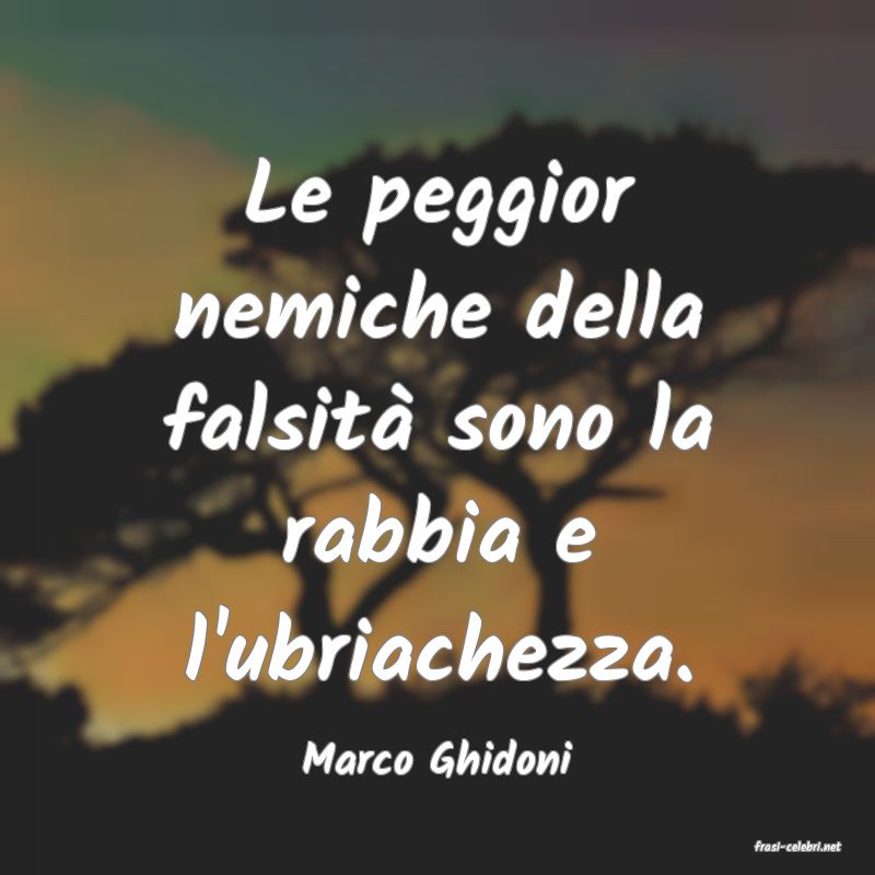 frasi di  Marco Ghidoni
