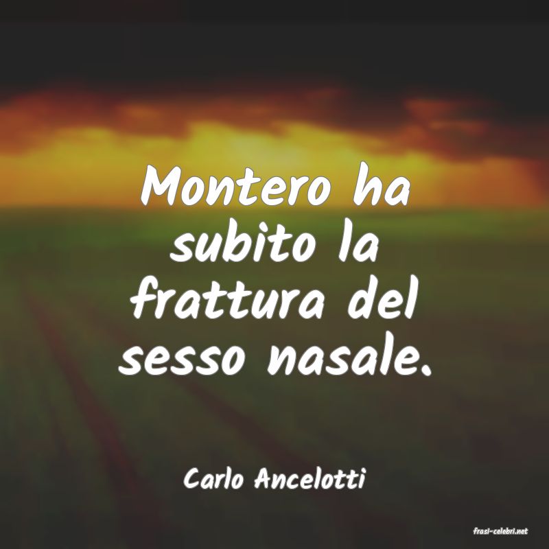 frasi di  Carlo Ancelotti
