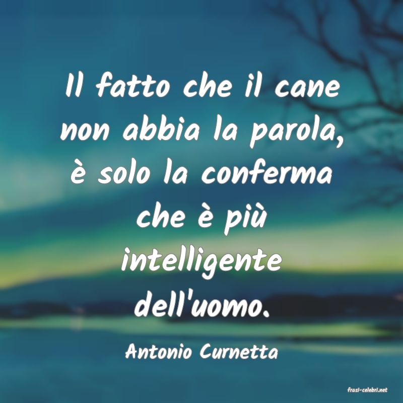 frasi di  Antonio Curnetta
